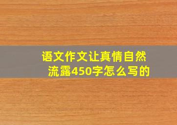 语文作文让真情自然流露450字怎么写的