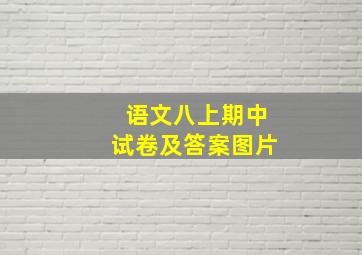 语文八上期中试卷及答案图片