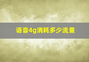 语音4g消耗多少流量