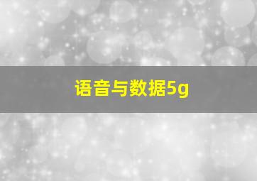 语音与数据5g