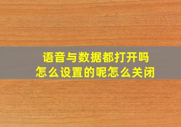 语音与数据都打开吗怎么设置的呢怎么关闭