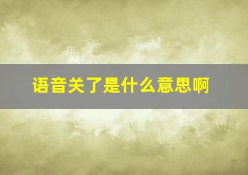 语音关了是什么意思啊