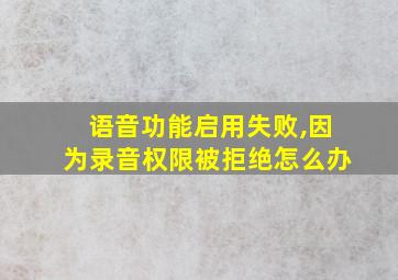 语音功能启用失败,因为录音权限被拒绝怎么办