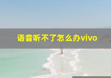 语音听不了怎么办vivo