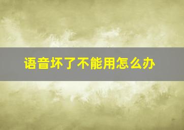 语音坏了不能用怎么办