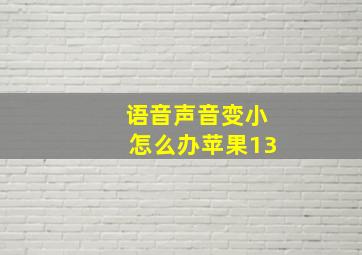 语音声音变小怎么办苹果13