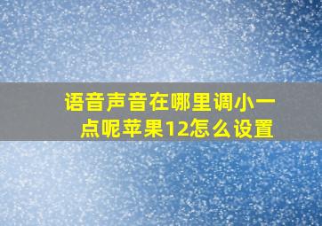 语音声音在哪里调小一点呢苹果12怎么设置