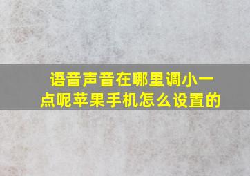 语音声音在哪里调小一点呢苹果手机怎么设置的