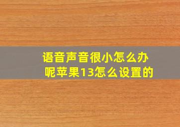 语音声音很小怎么办呢苹果13怎么设置的