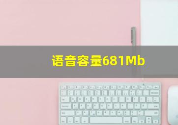 语音容量681Mb