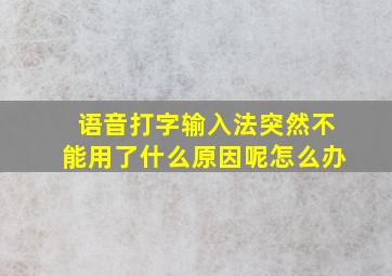 语音打字输入法突然不能用了什么原因呢怎么办