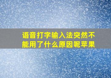 语音打字输入法突然不能用了什么原因呢苹果