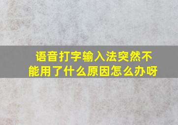 语音打字输入法突然不能用了什么原因怎么办呀