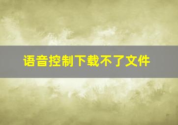 语音控制下载不了文件