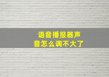 语音播报器声音怎么调不大了