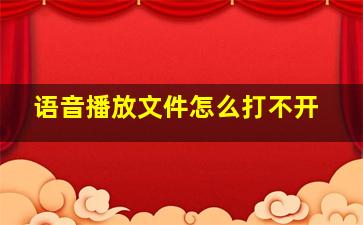 语音播放文件怎么打不开