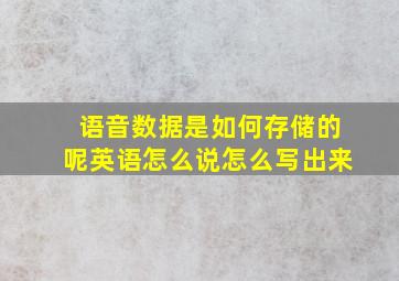 语音数据是如何存储的呢英语怎么说怎么写出来