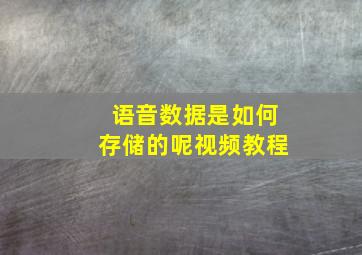 语音数据是如何存储的呢视频教程