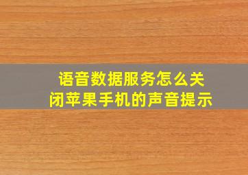 语音数据服务怎么关闭苹果手机的声音提示