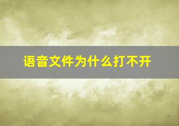 语音文件为什么打不开