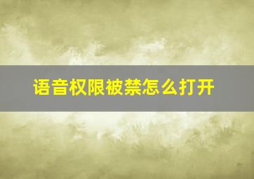 语音权限被禁怎么打开