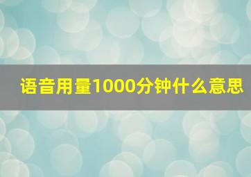 语音用量1000分钟什么意思