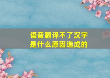 语音翻译不了汉字是什么原因造成的