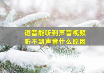 语音能听到声音视频听不到声音什么原因