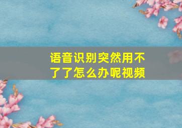 语音识别突然用不了了怎么办呢视频