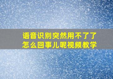 语音识别突然用不了了怎么回事儿呢视频教学