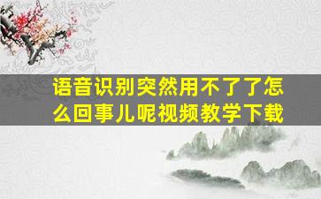 语音识别突然用不了了怎么回事儿呢视频教学下载