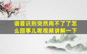 语音识别突然用不了了怎么回事儿呢视频讲解一下