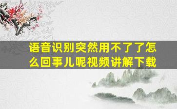 语音识别突然用不了了怎么回事儿呢视频讲解下载