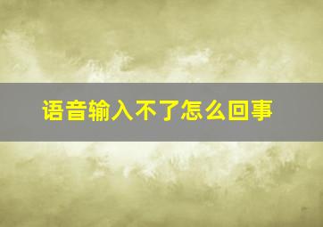 语音输入不了怎么回事