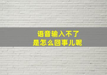 语音输入不了是怎么回事儿呢