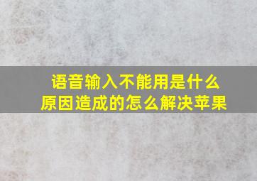 语音输入不能用是什么原因造成的怎么解决苹果