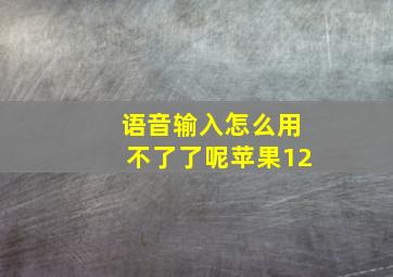 语音输入怎么用不了了呢苹果12