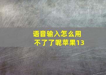 语音输入怎么用不了了呢苹果13