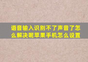 语音输入识别不了声音了怎么解决呢苹果手机怎么设置