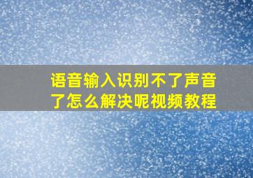 语音输入识别不了声音了怎么解决呢视频教程