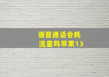 语音通话会耗流量吗苹果13