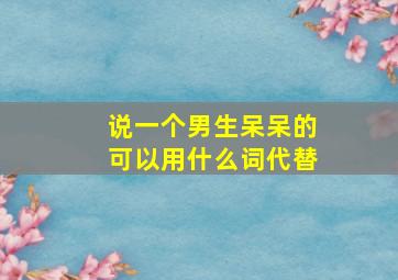 说一个男生呆呆的可以用什么词代替