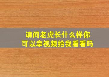 请问老虎长什么样你可以拿视频给我看看吗