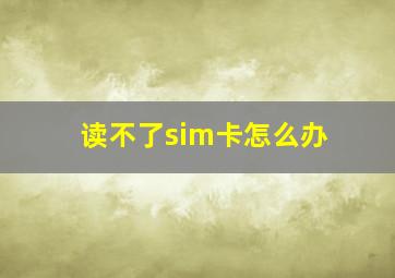 读不了sim卡怎么办