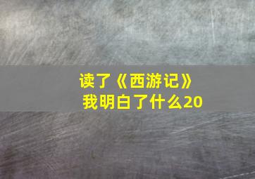 读了《西游记》我明白了什么20