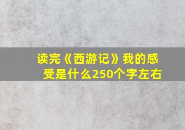 读完《西游记》我的感受是什么250个字左右