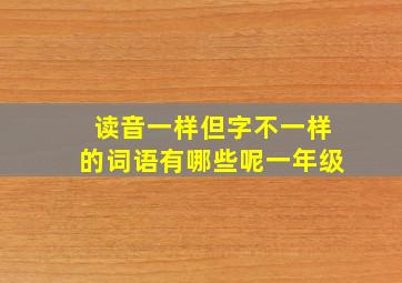 读音一样但字不一样的词语有哪些呢一年级