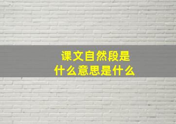 课文自然段是什么意思是什么