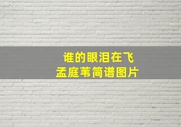 谁的眼泪在飞孟庭苇简谱图片