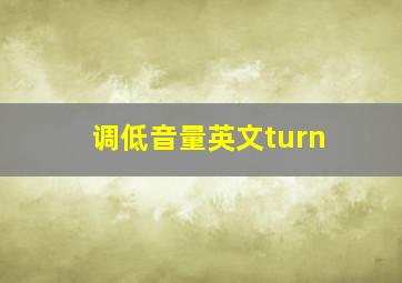 调低音量英文turn